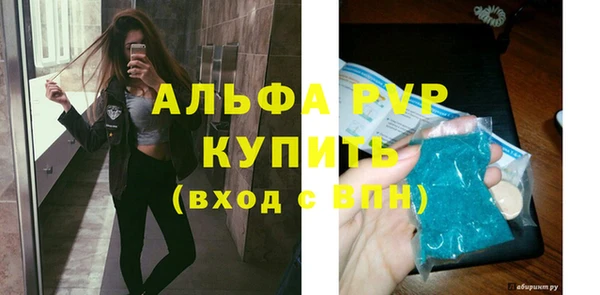 сатива Богданович