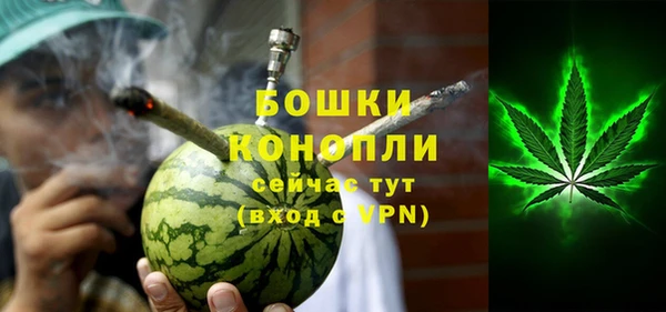 mdpv Богородицк