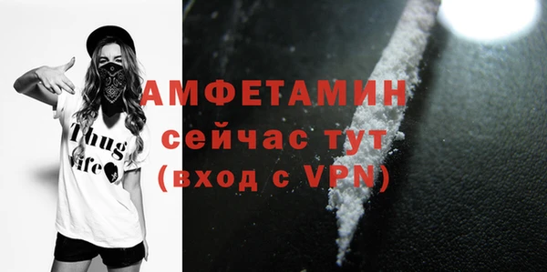 сатива Богданович