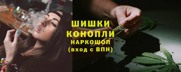 сатива Богданович