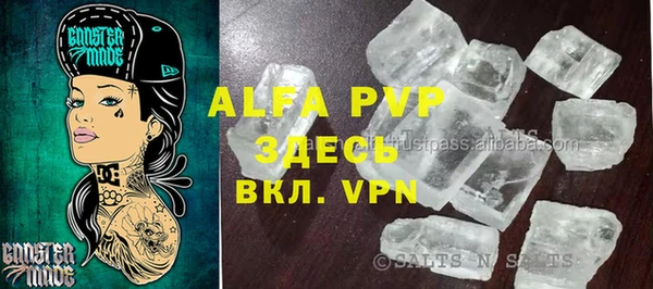 сатива Богданович
