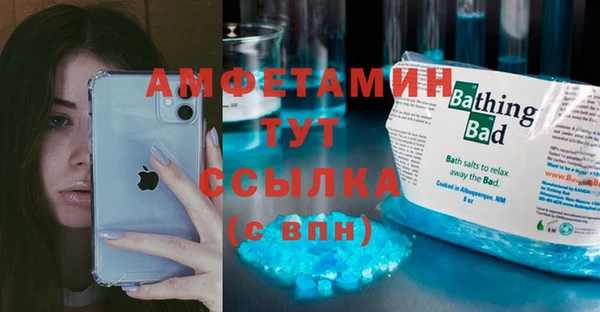 сатива Богданович