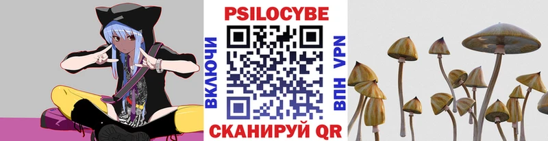 Псилоцибиновые грибы ЛСД MEGA ссылки Северодвинск